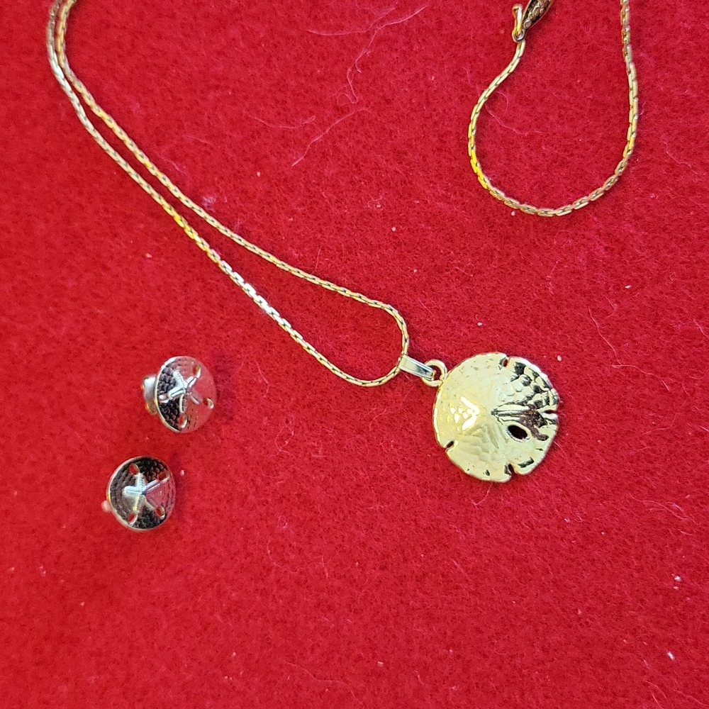Attractive necklace & earring set.